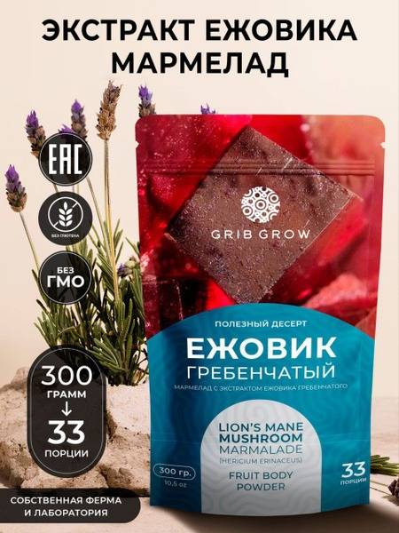 Lion's Mane Mushroom Gummies GRIB GROW: Brain & Immunity Boost, 300g