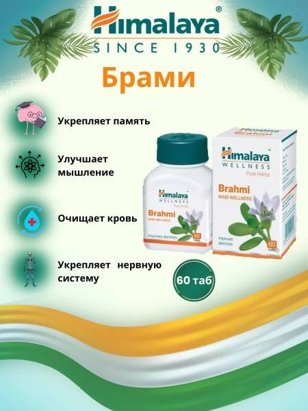 Brahmi: Boost Brainpower & Cognitive Function