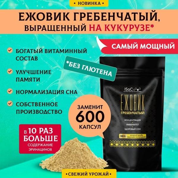 Lion's Mane Mushroom Powder (300g)