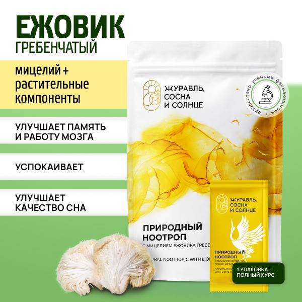 Lion's Mane Mushroom Mycelium Powder: Nootropic for Memory & Calm, 14 Sachets