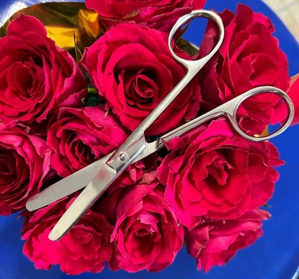 SkyRain Medical Scissors (1 Pair)