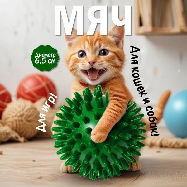 Massage Ball Toy