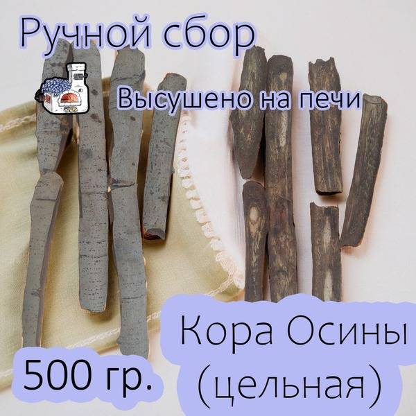 Aspen Bark (Whole) - 500g