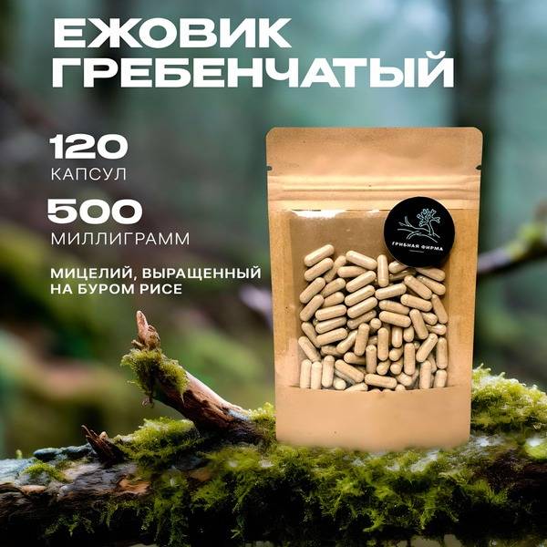 Lion's Mane Mushroom Capsules (120 x 500mg) - 1 Month Supply - Natural Nootropic