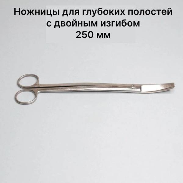 Double-Ended Curved Deep Cavity Scissors, 250mm