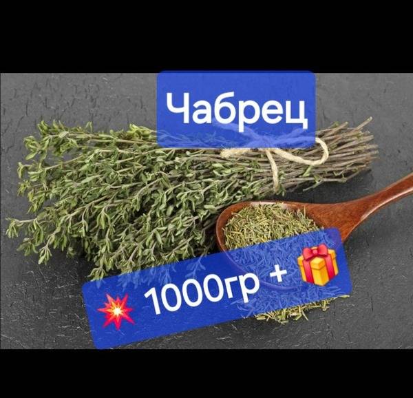 Thyme: The Ultimate Guide