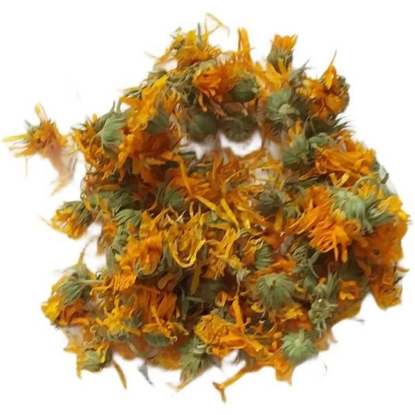 Calendula Flowers: Uses & Benefits