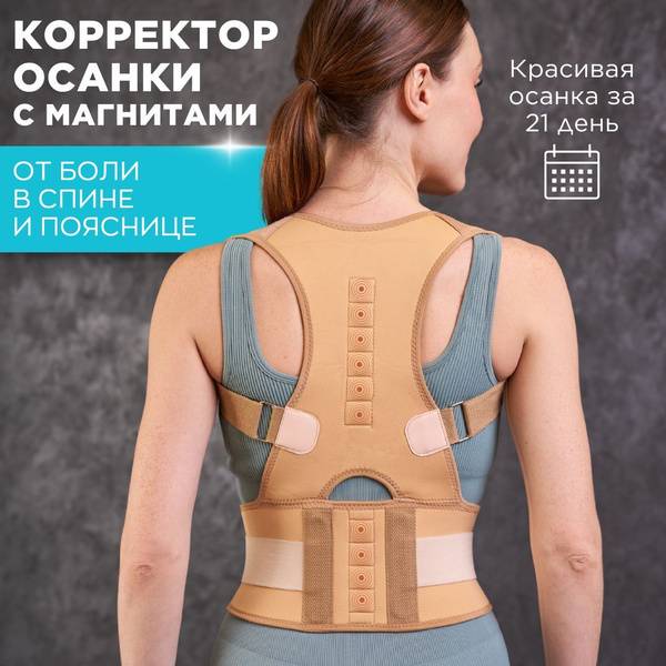 Posture Corrector L Beige Textile Neoprene Unisex