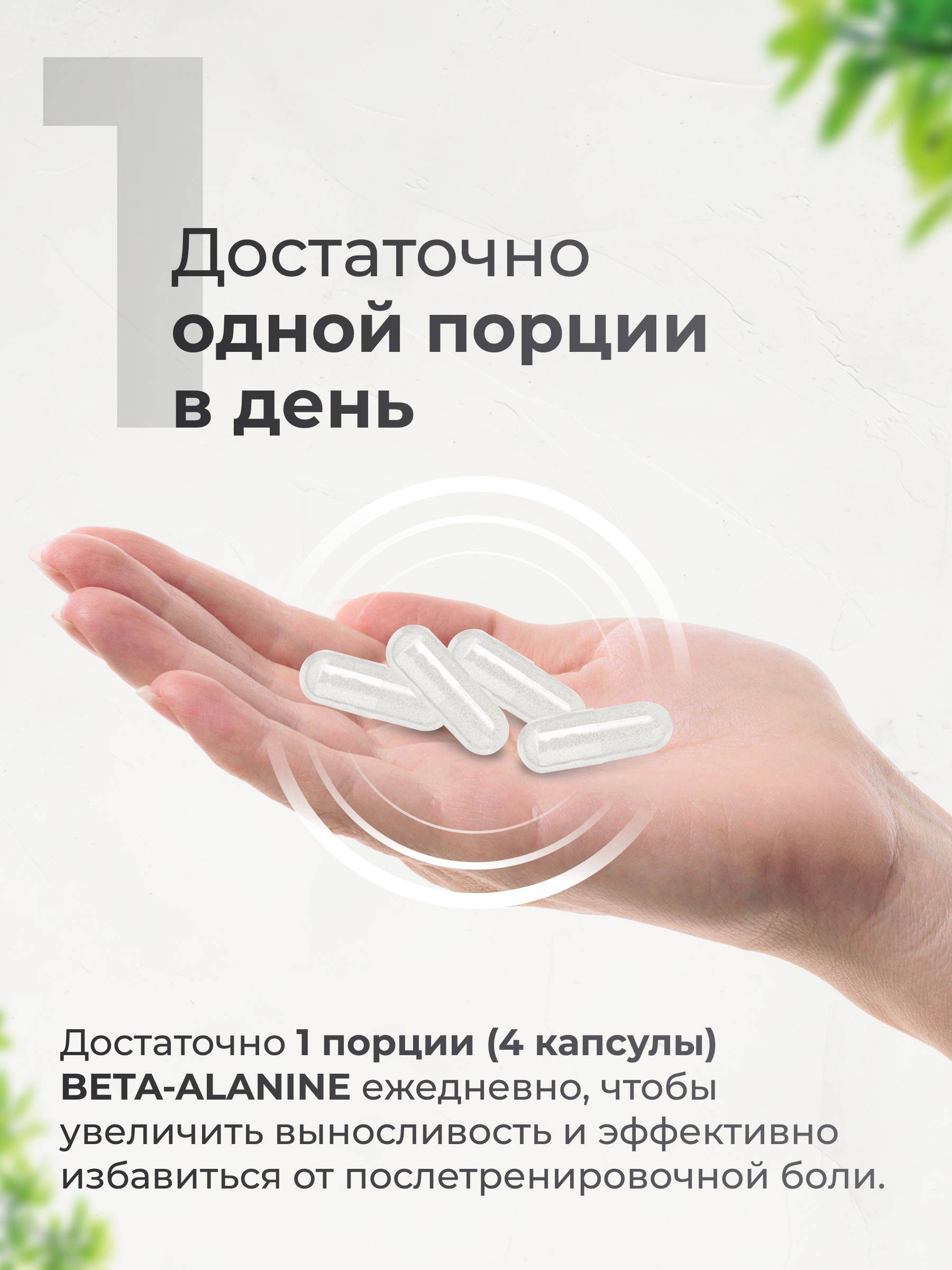 VitaMeal Beta-Alanine Capsules 196 Count – Endurance and Recovery Support #5