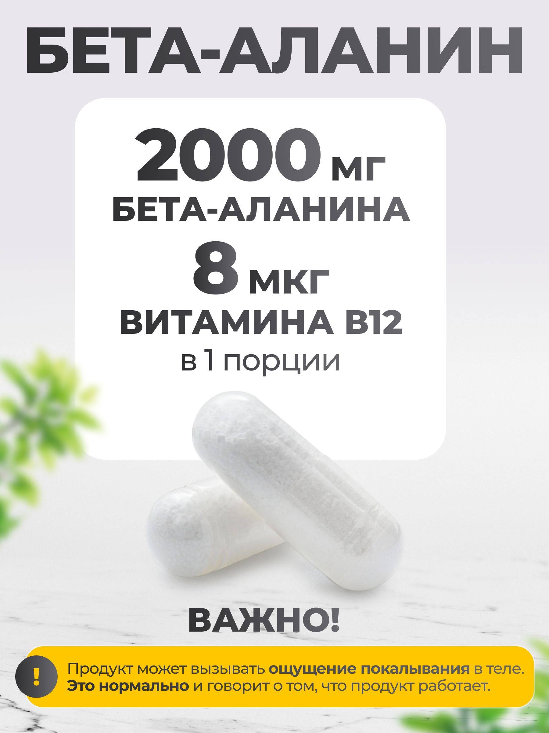 VitaMeal Beta-Alanine Capsules 196 Count – Endurance and Recovery Support #4