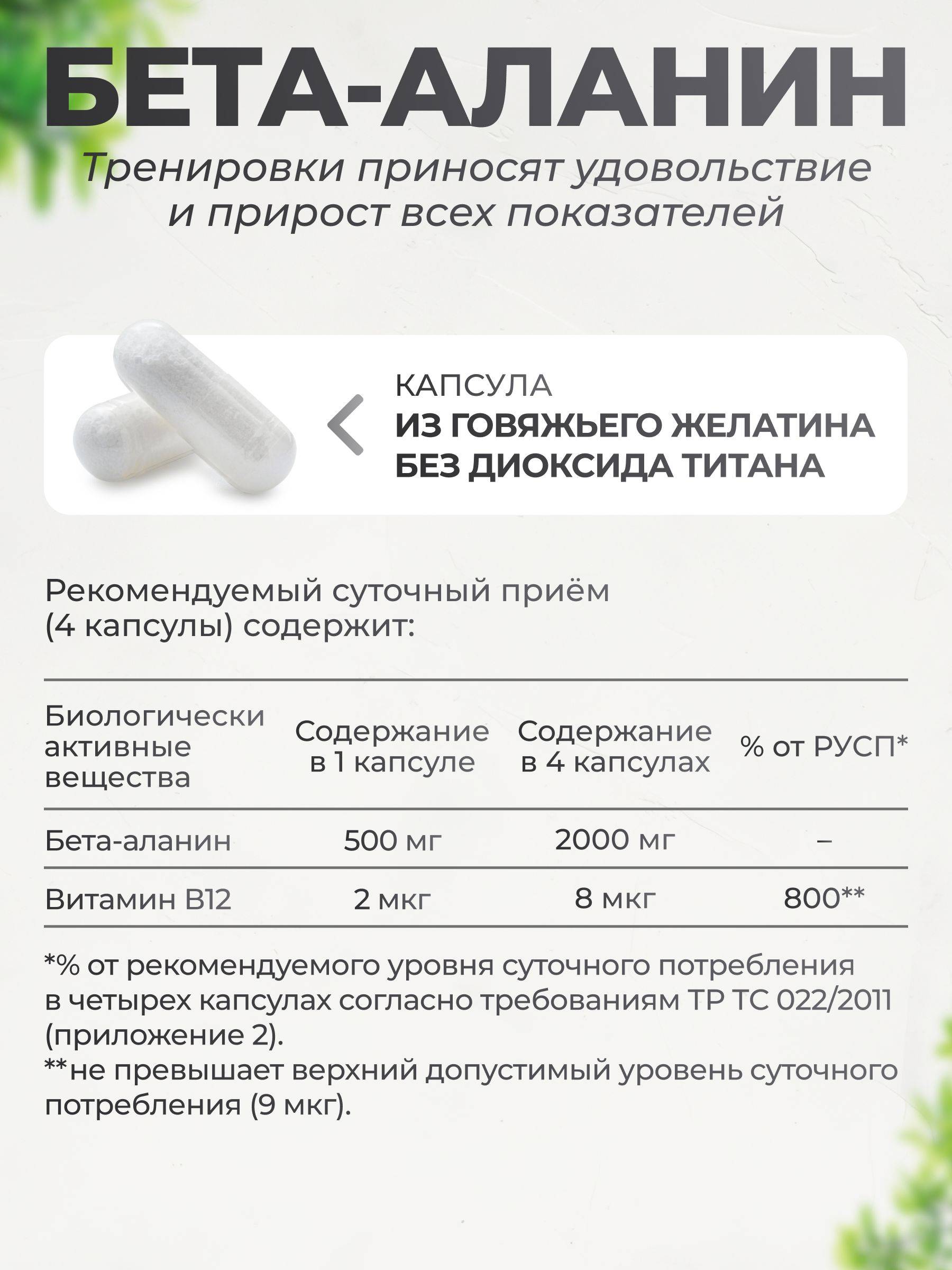 VitaMeal Beta-Alanine Capsules 196 Count – Endurance and Recovery Support #6