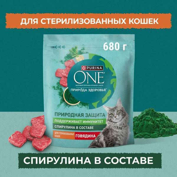 Purina ONE Nature’s Health Neutered/Spayed Adult Cat Dry Food Beef 680 g Bag