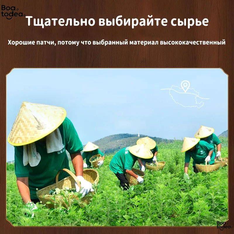 Sunny Felsi Self-Heating Artemisia Herbal Patches, 10 Pcs for Lower Back Pain Relief #5
