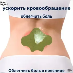 Sunny Felsi Self-Heating Artemisia Herbal Patches, 10 Pcs for Lower Back Pain Relief #1