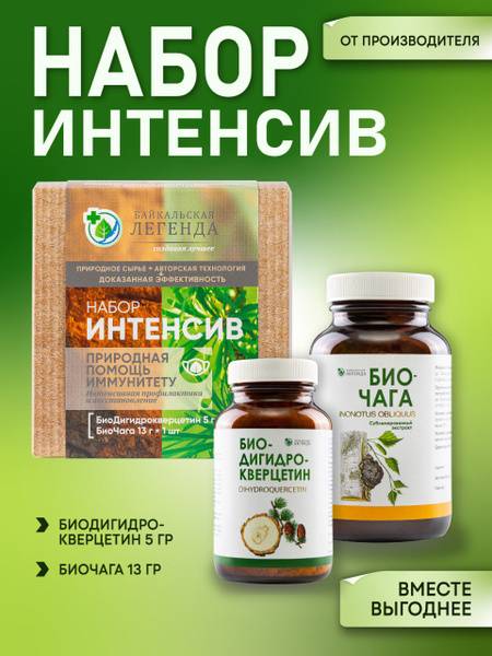 Baikal Legend Intensive Dihydroquercetin and Chaga Set, Powder, 2 Pack