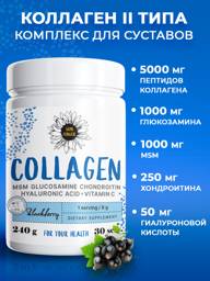 SUN FLOWER Hydrolyzed Type 2 Collagen Powder with Vitamin C + Chondroitin Glucosamine MSM Hyaluronic Acid 240 g 30 Servings Black Currant #1