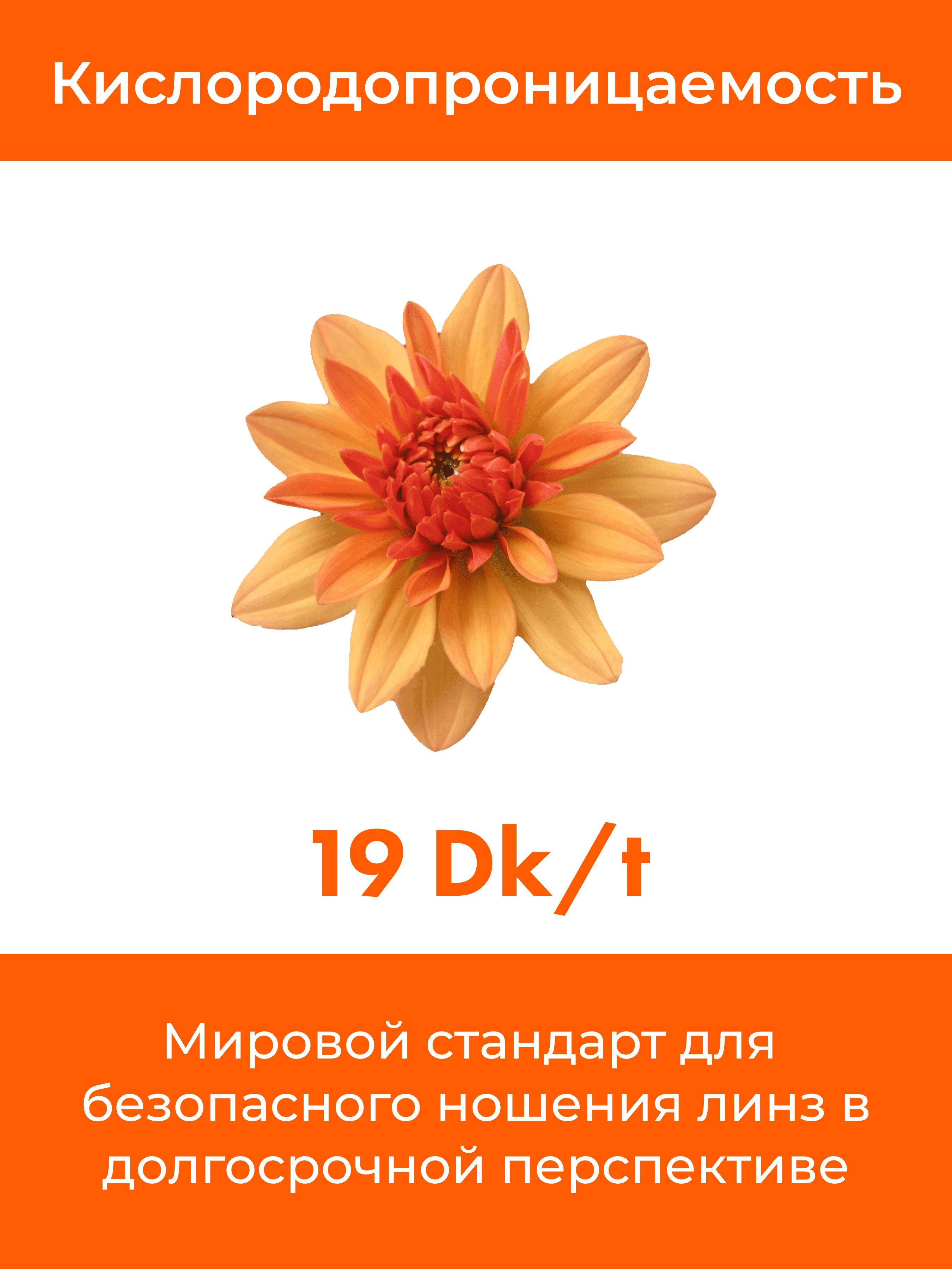 VIZOTEQUE Contact Lenses +2.00 8.6 14mm 2 Pack (Quarterly Replacement) #5