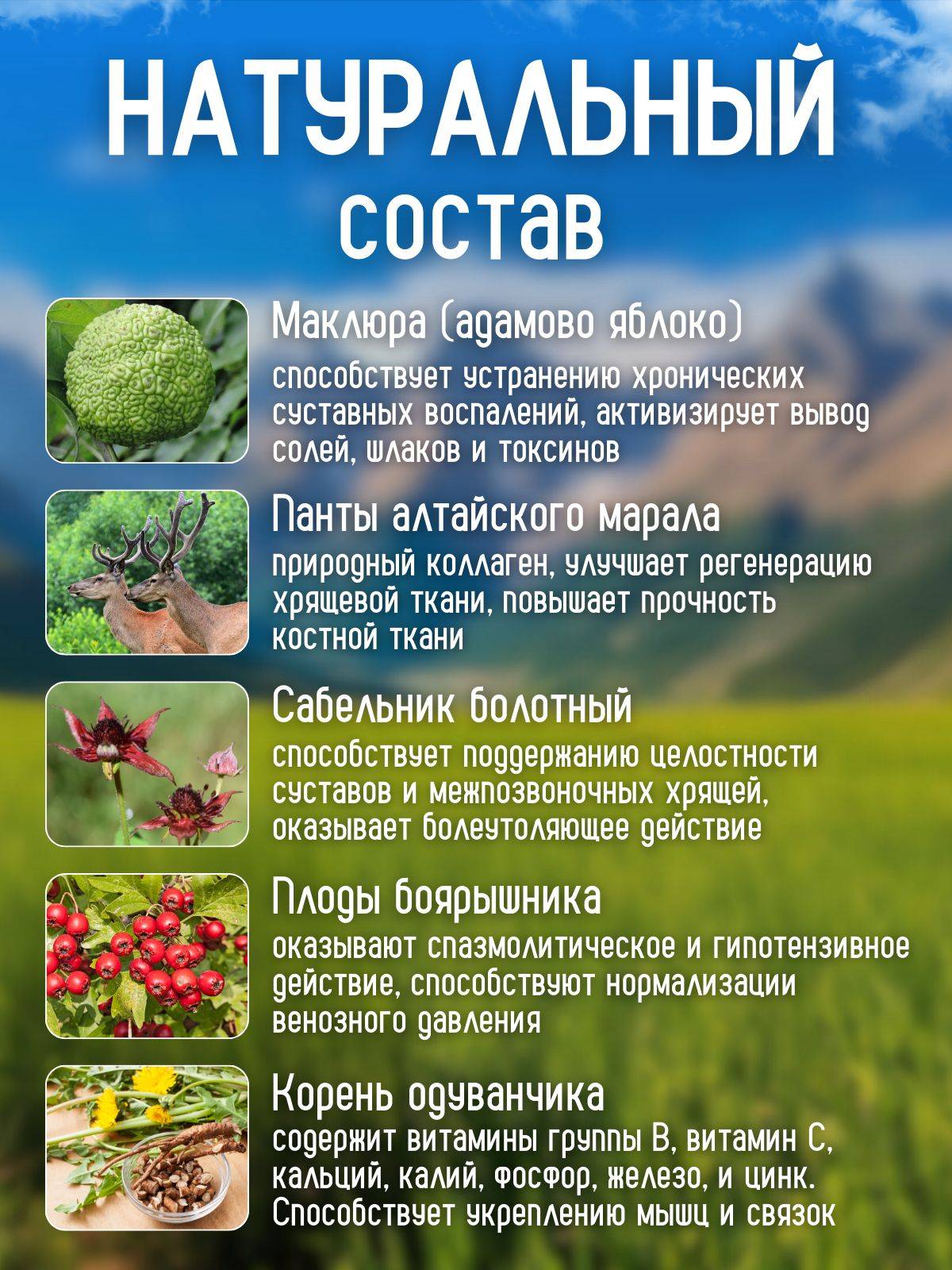 Chudesa Altayskikh Gor joint and muscle rub 100 mL liquid medicinal product #3