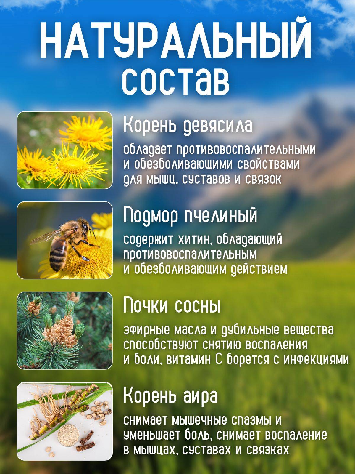 Chudesa Altayskikh Gor joint and muscle rub 100 mL liquid medicinal product #4