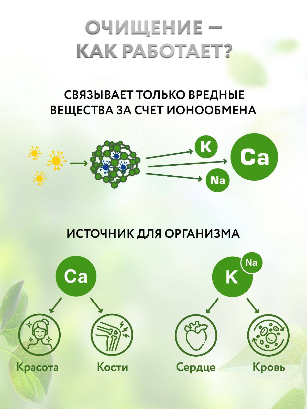 ZeoDetox Natural Food Grade Zeolite (Serbia) 200g Sorbent for Detoxification, Heavy Metal Removal, and Digestive Support #2