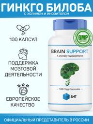 SNT Brain Support Ginkgo Biloba Supplement, 100 Forehead Patches 100 Count #1