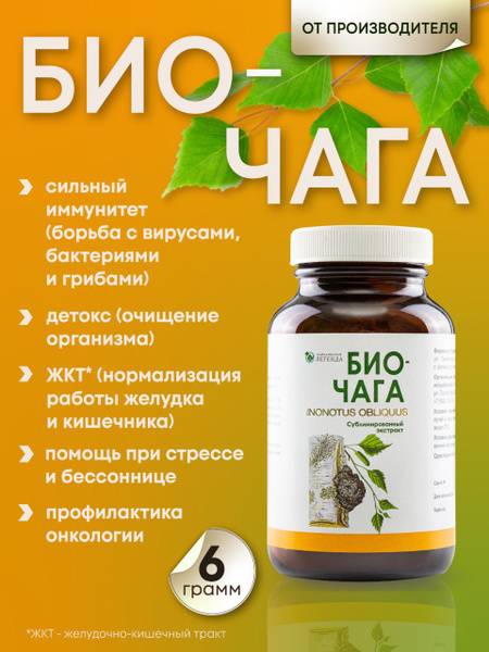 Baykalskaya Legenda Birch Polypore Extract BioChaga 6g
