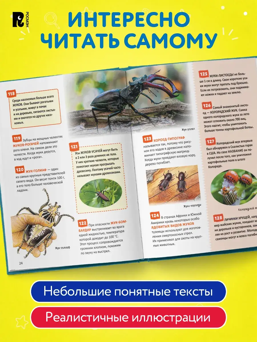 Энциклопедия для школьников. 500 важных фактов фото книги 2