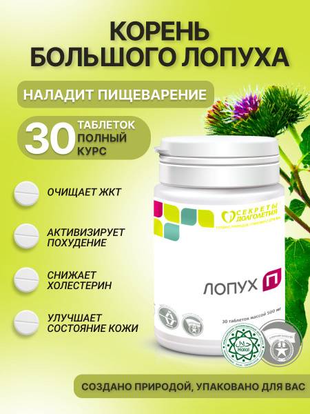 Burdock P Health from Nature Tablets No. 30