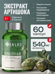 SALUS Artichoke Extract Capsules 60 Pack 540 mg, 60 Count #1