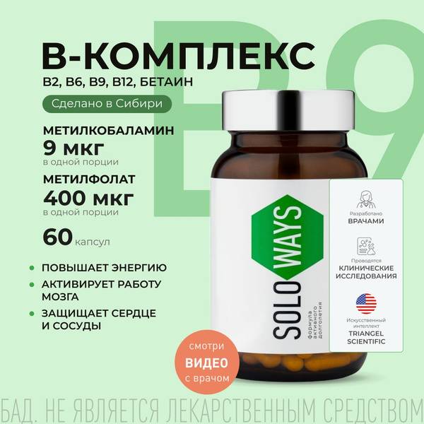 S.Lab SOLOWAYS Vitamin B Complex with TMG, 60 Capsules