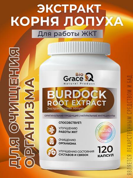 GraceBioQ Burdock Root Extract 500 mg, 120 Capsules