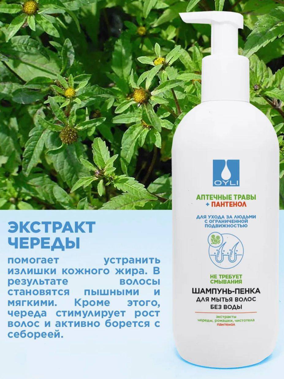 OYLI No-Rinse Foam Shampoo for Hair & Scalp, 500ml #5