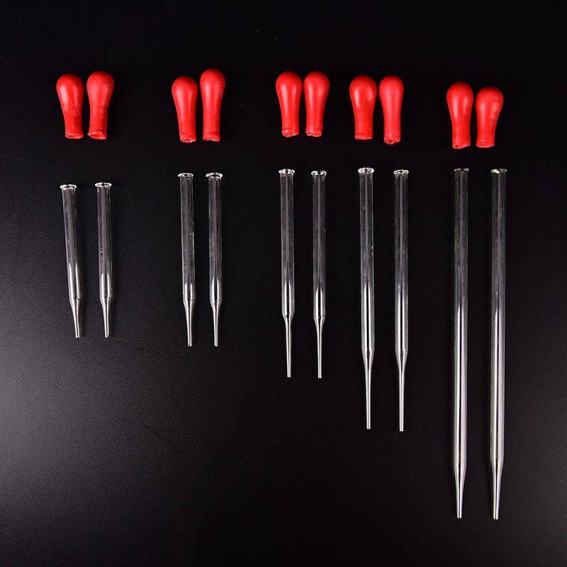 CCXET Glass Pipettes with Rubber Bulbs, 2-Piece Set #2