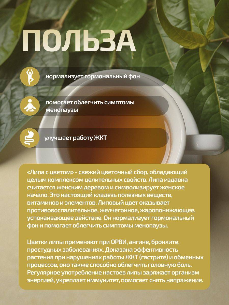 Fitomore Herbal Blend Linden (Lipa) 25 g #4