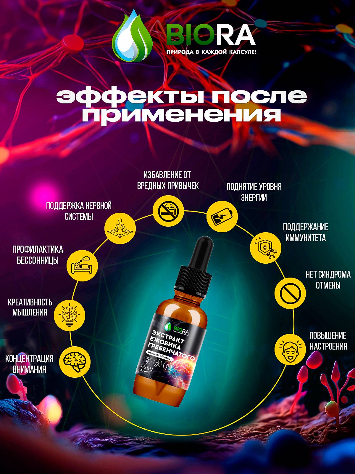 BIORA Lion’s Mane (Hericium erinaceus) Liquid Extract 30 mL Dietary Supplement #2