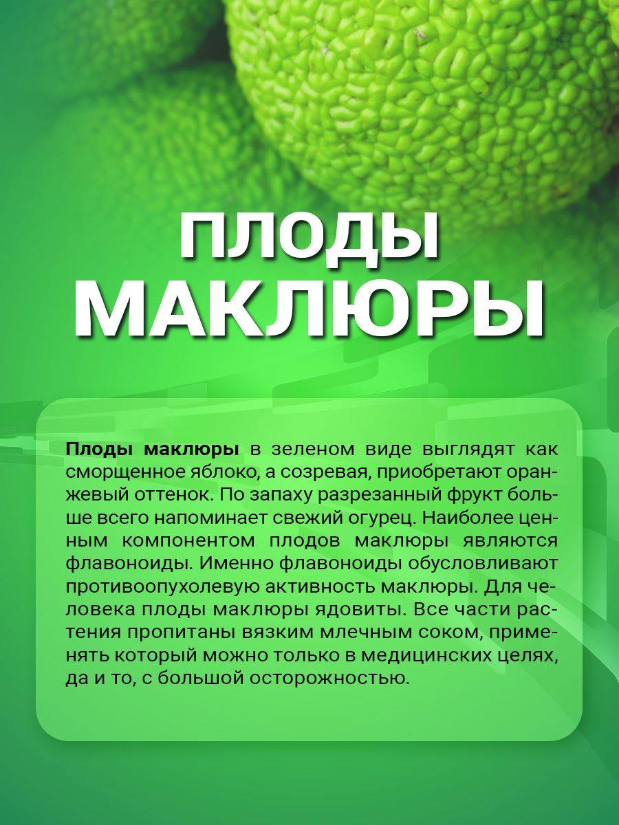 NTK Zhiznennaya Sila Macleaya Tincture (Adam's Apple, Fruit Extract) 100 ml for Joint and Back Pain #3