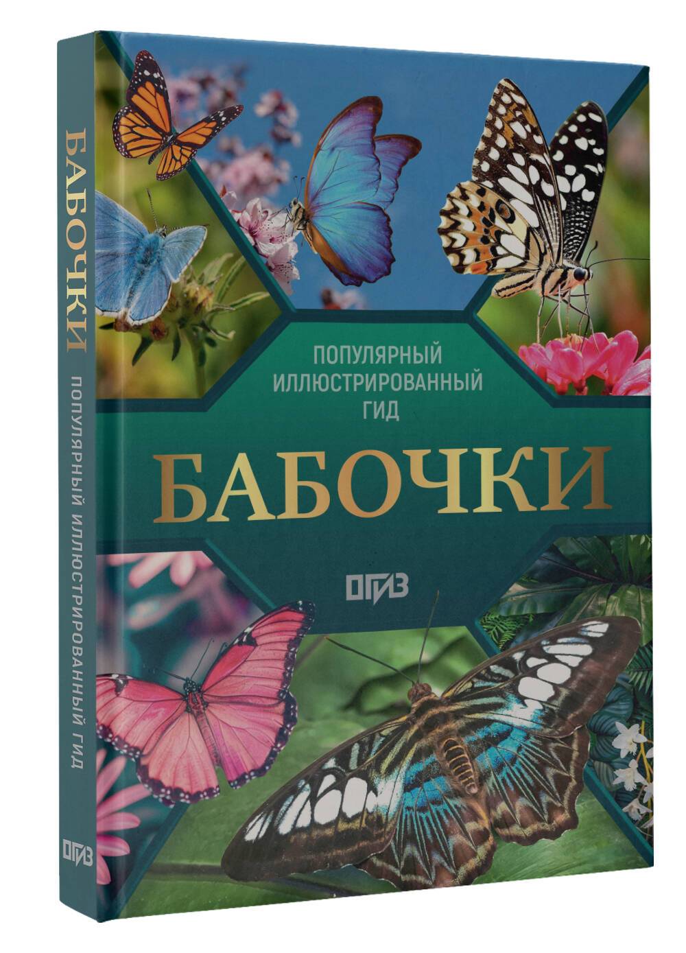 Бабочки. Иллюстрированный гид | Butterflies. Illustrated Guide