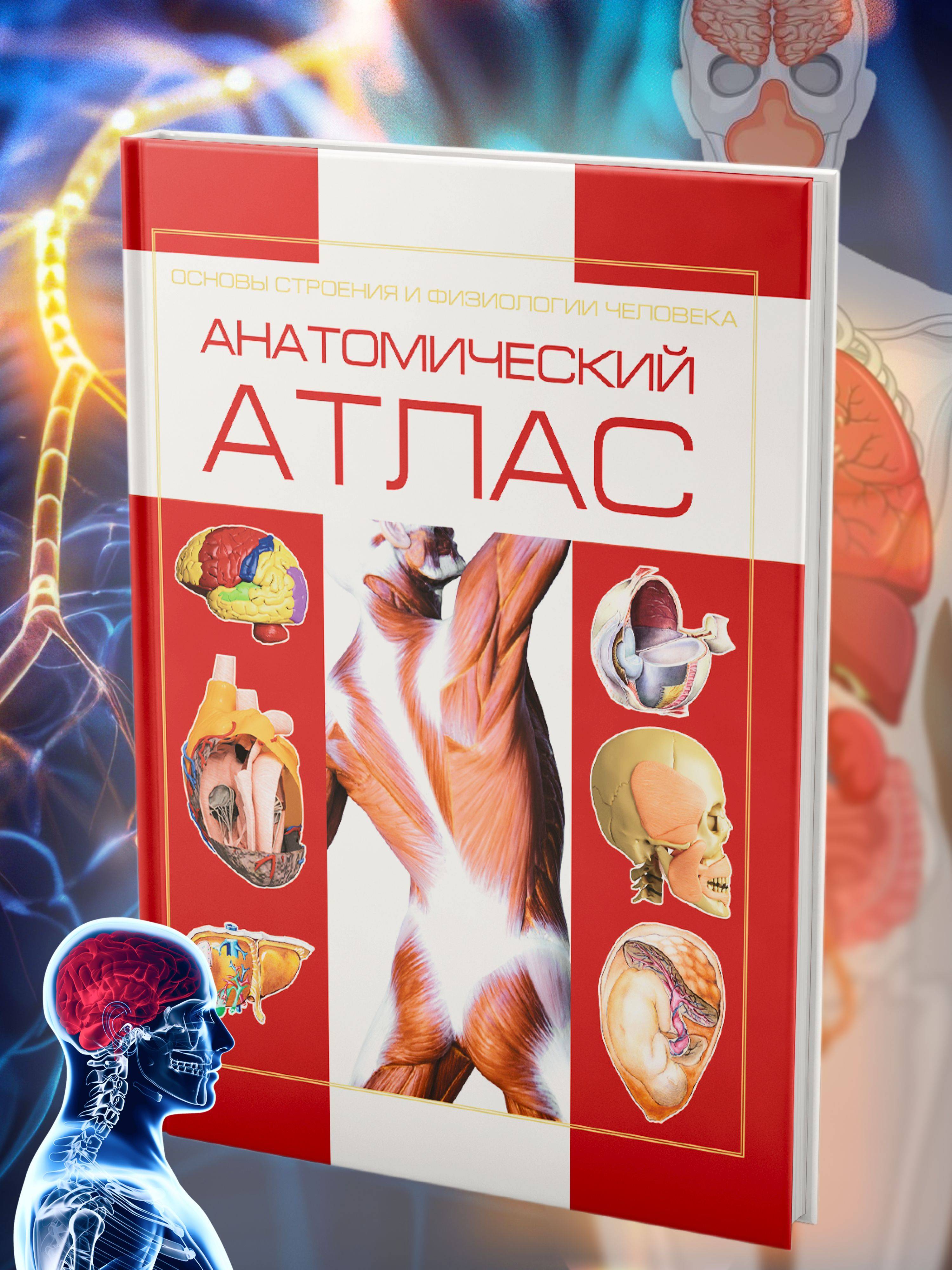 Книга Атлас анатомии человека, основы строения и физиологии | Atlas of Human Anatomy: Fundamentals of Structure and Physiology