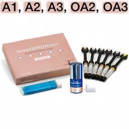 Palfique Estelite Paste Syringe Intro Kit-6 x 3.8g #1