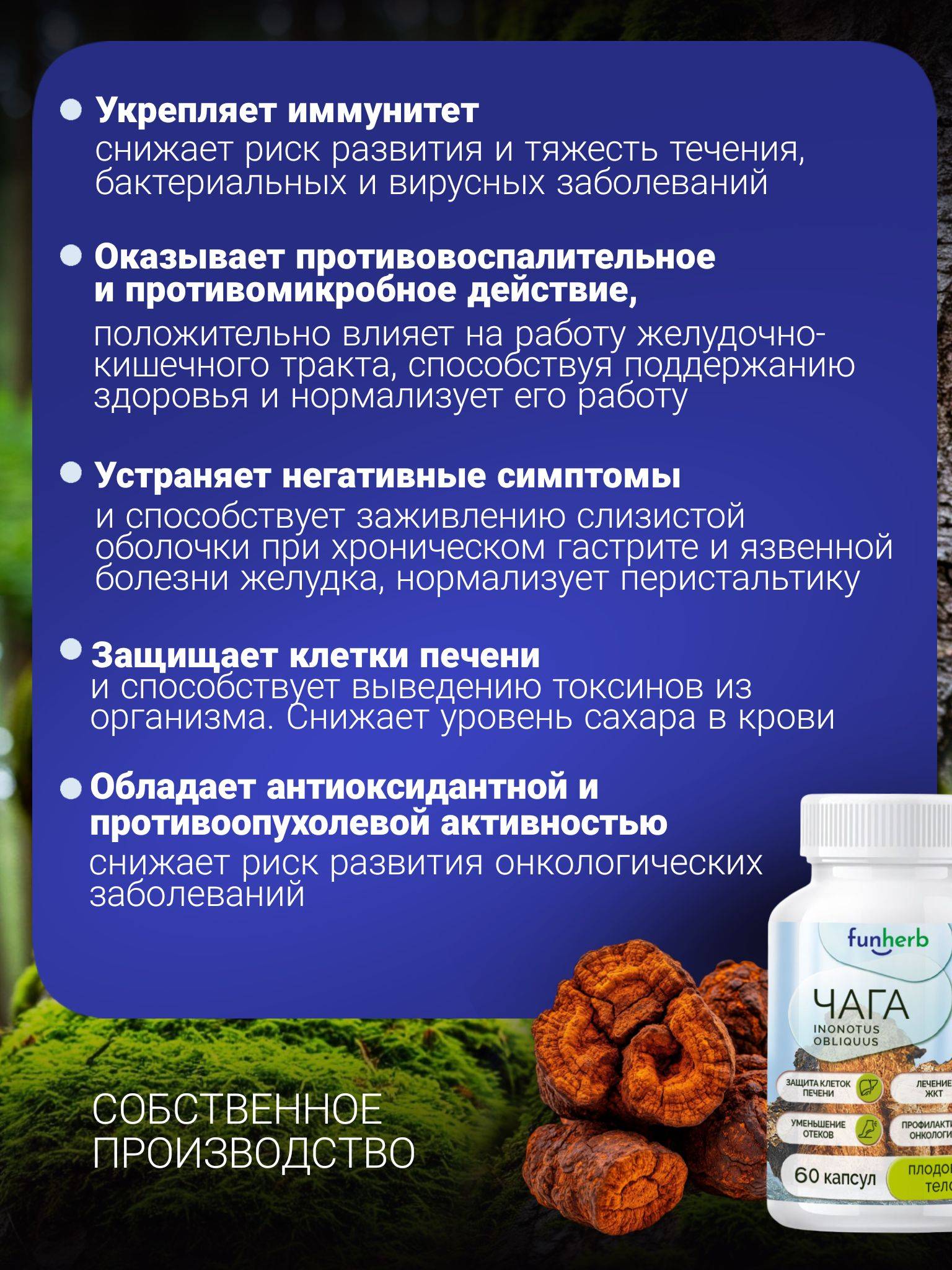 funherb Chaga Mushroom Capsules 60 Count 300 mg #2