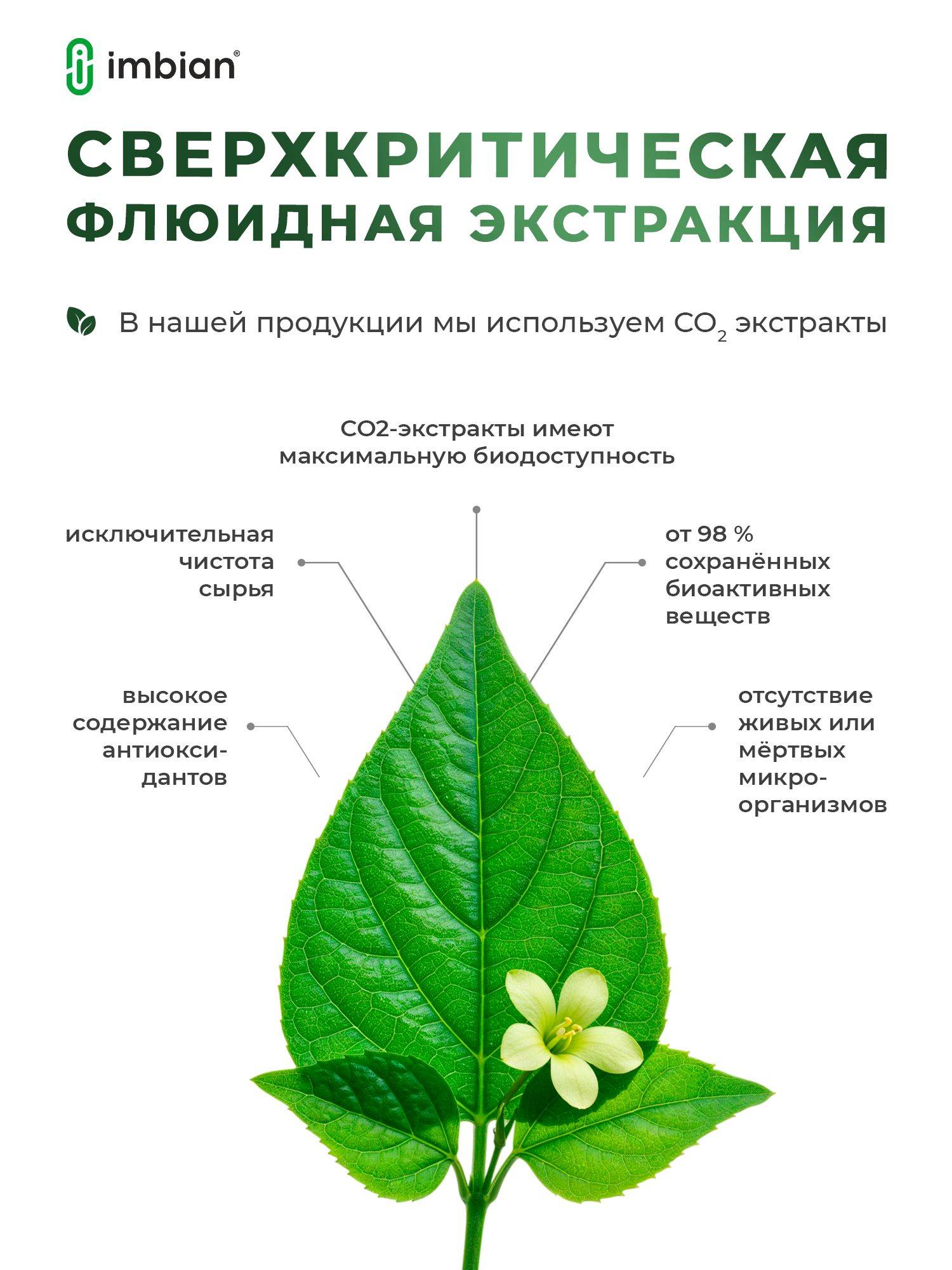 imbian Eco Gymnema Extract Dietary Supplement, 60 Capsules #5