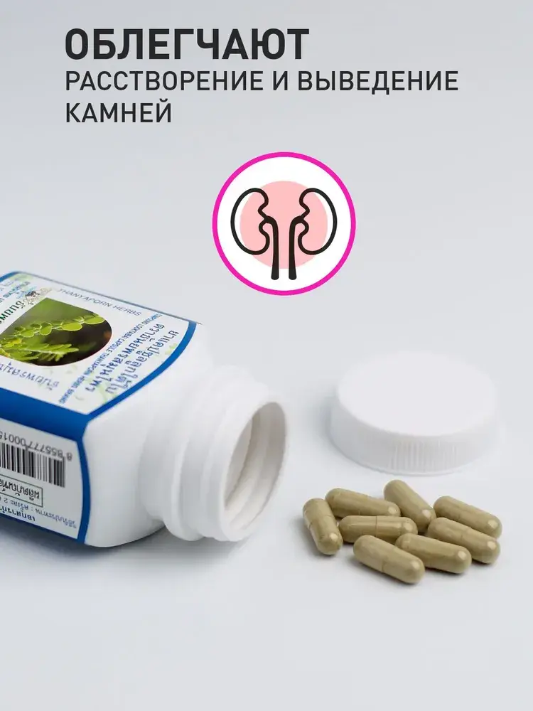 Thanyaporn Compound Looktaibai Capsules 100 pcs #4