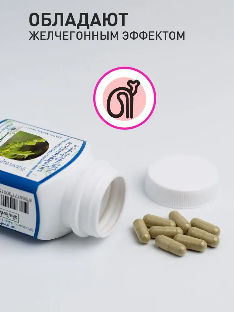 Thanyaporn Compound Looktaibai Capsules 100 pcs #3
