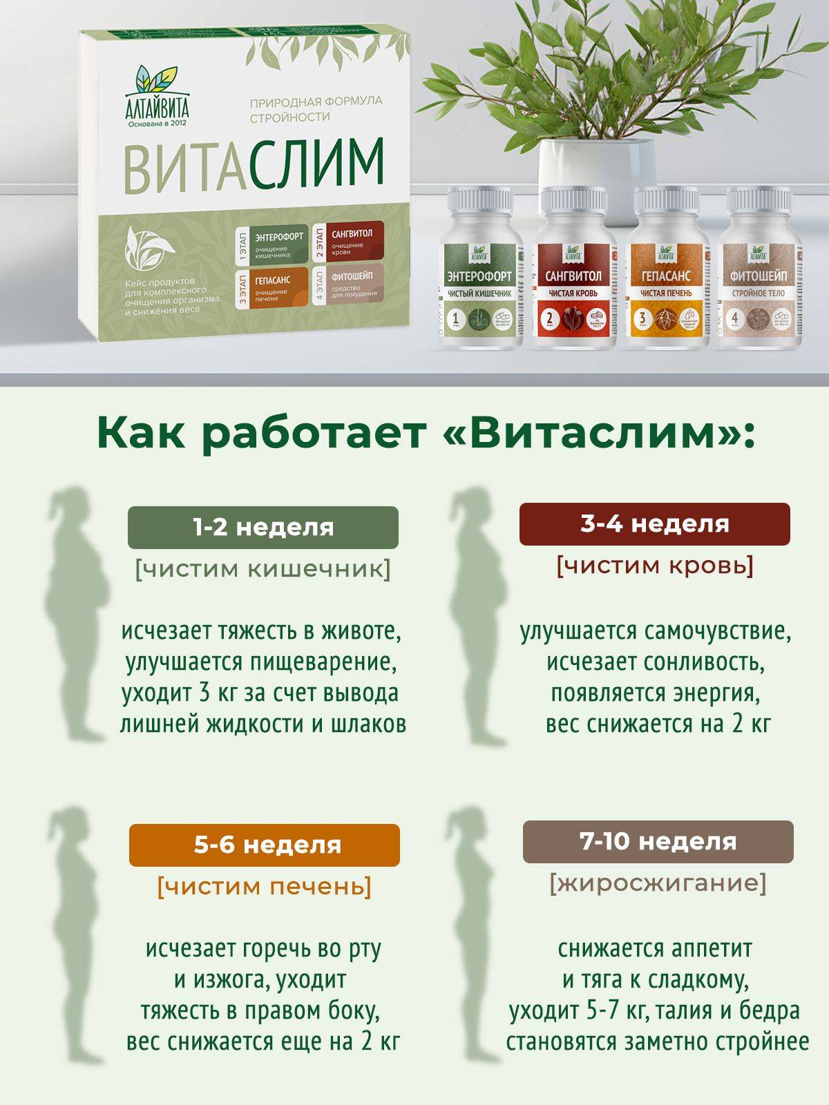 Altaivita Vitaslim 4-Stage Detox and Fat Burn System – 5-Part Kit (Capsules, Syrup, Tea) #9