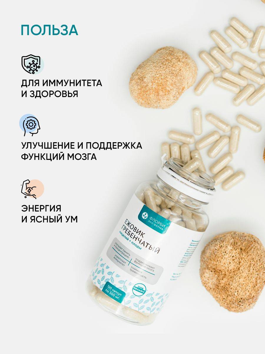 FLORBI Lion's Mane Mushroom, 150 Capsules of 500 mg #3