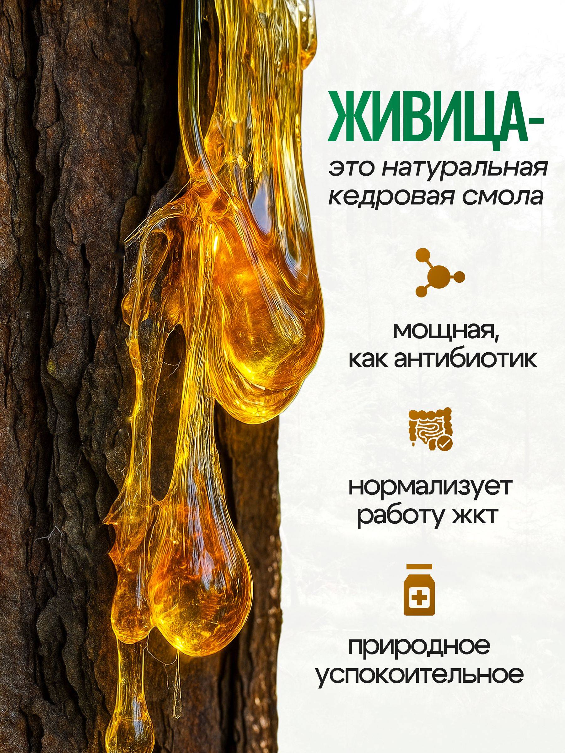 Dikiy Med Natural Pine Resin Paste with Honey, No Sugar Added, 200 g #2