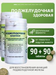Gordeev M.V. Healthy Pancreas Herbal Blend Tablets, 2 Packs #1