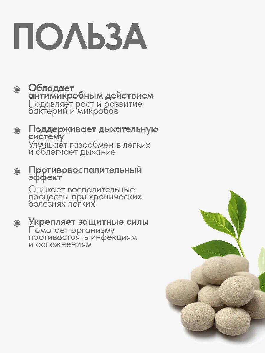 Gordeev Herbal Mixture 'Bakteriyam Stop' for Chronic Bronchitis and Pneumonia, 90 Tablets #3