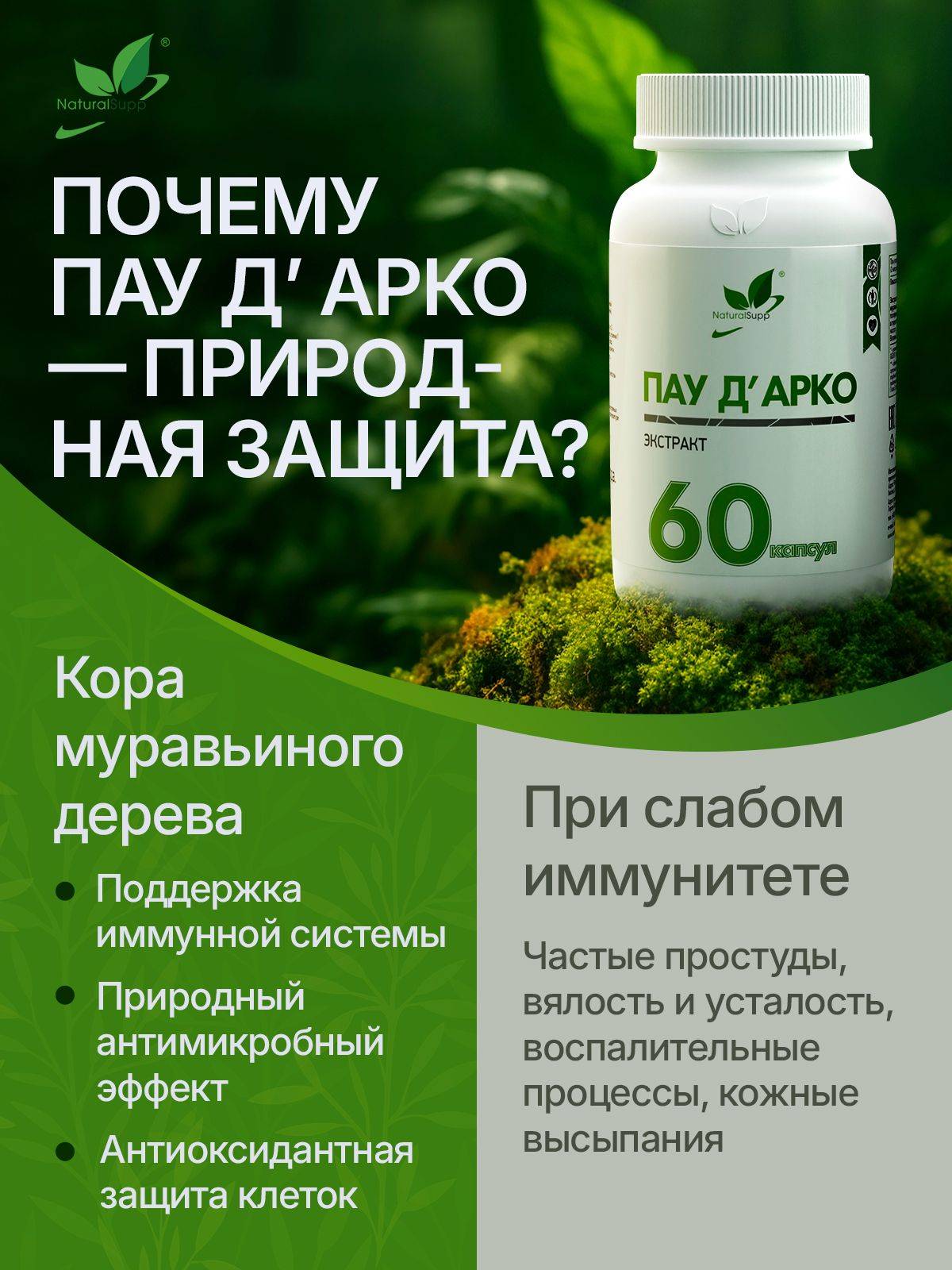 NaturalSupp Pau D'Arco Bark Extract 800mg, Immune Support, 60 Capsules #6