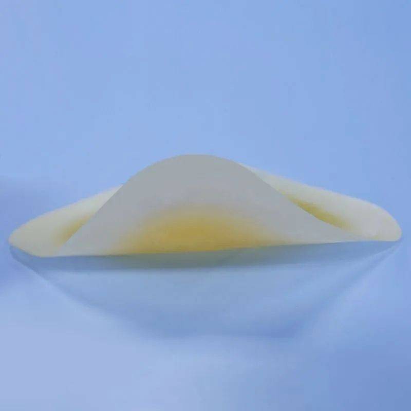 Hydrocolloid Absorbing Self-Adherent Dressing 10x10 cm 10 Pack #8